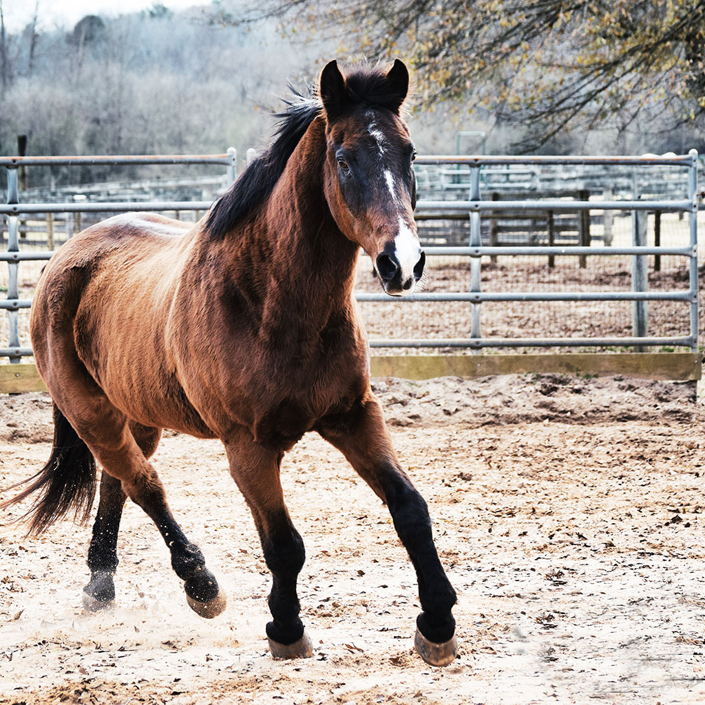 Maintenance Exercise & Reconditioning - Photo by Danielle Jean Photography